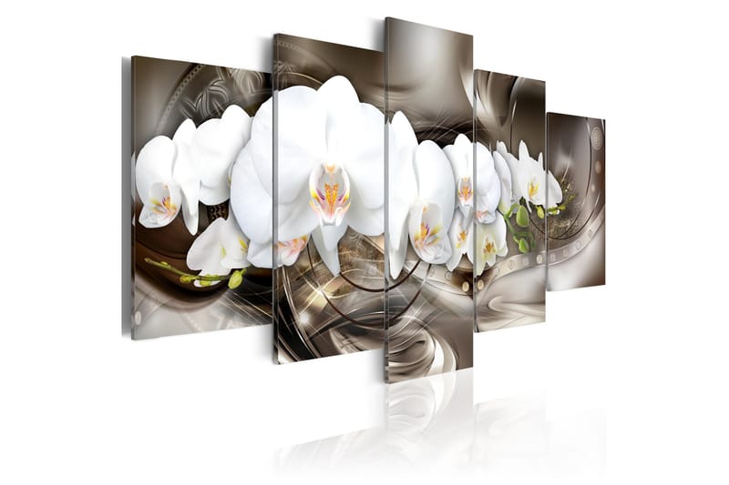Tavla Brown Mirage 100x50, Artgeist sp. z o. o.