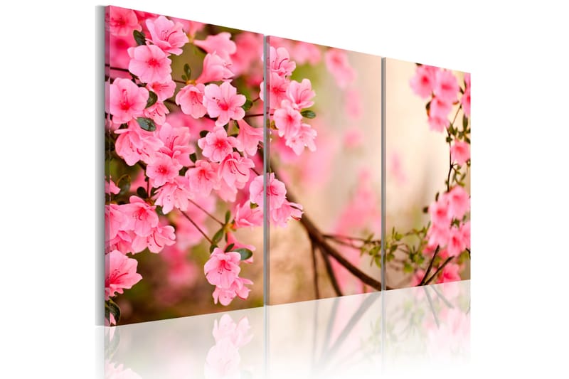 Tavla Cherry Flower 120x80, Artgeist sp. z o. o.