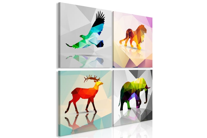 Tavla Colourful Animals 4 Parts 80x80, Artgeist sp. z o. o.