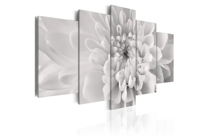 Tavla Dahlia Flower In Grey Shades 200x100, Artgeist sp. z o. o.