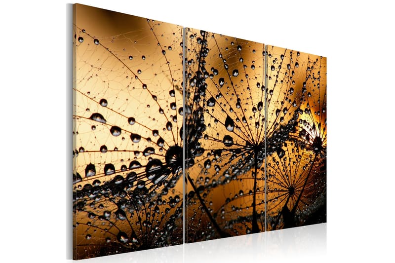 Tavla Dandelions And Dew 120x80 - Artgeist sp. z o. o. - Inredning - Tavlor & konst - Canvastavlor