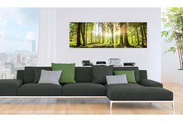 Tavla Daylight 120x40 - Artgeist sp. z o. o. - Inredning - Tavlor & konst - Canvastavlor