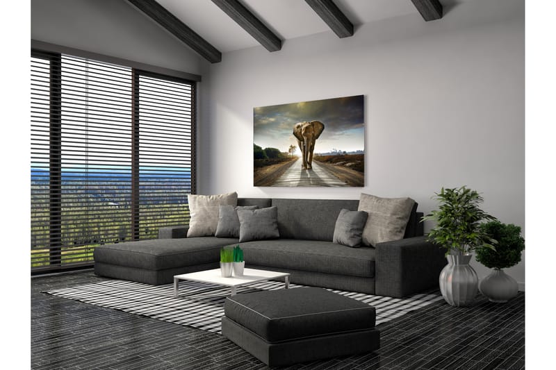 Tavla Elephant - 80x120 cm - Inredning - Tavlor & konst