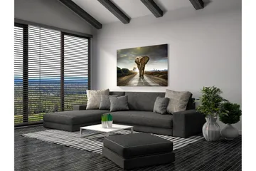 Tavla Elephant - 80x120 cm - Inredning - Tavlor & konst