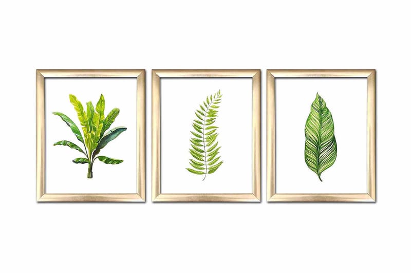 Tavla Floral med Ram 3-pack Flerfärgad - 23,5x28,5 cm - Inredning - Tavlor & konst