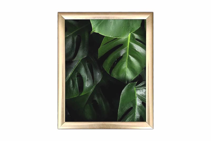 Tavla Floral med Ram Flerfärgad - 23,5x28,5 cm - Inredning - Tavlor & konst