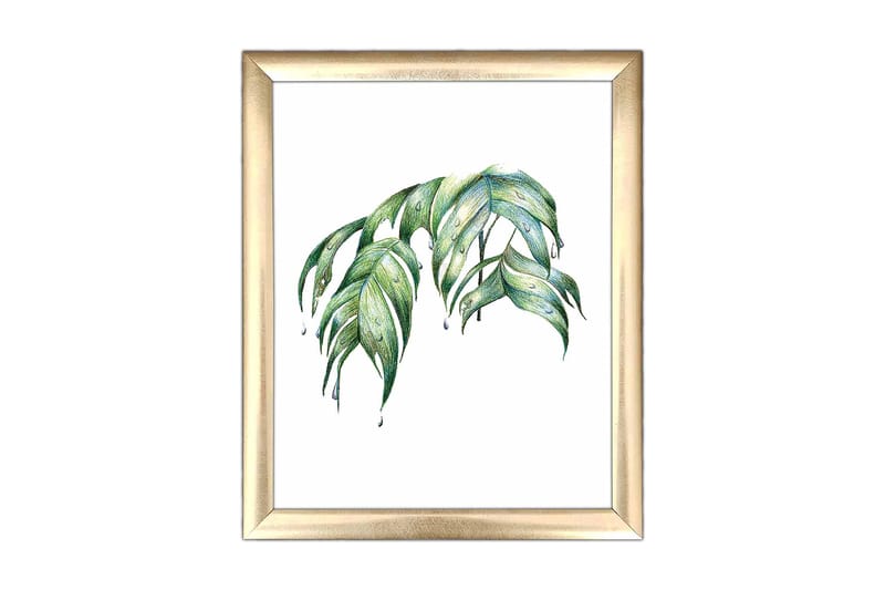 Tavla Floral med Ram Flerfärgad, 23,5x28,5 cm