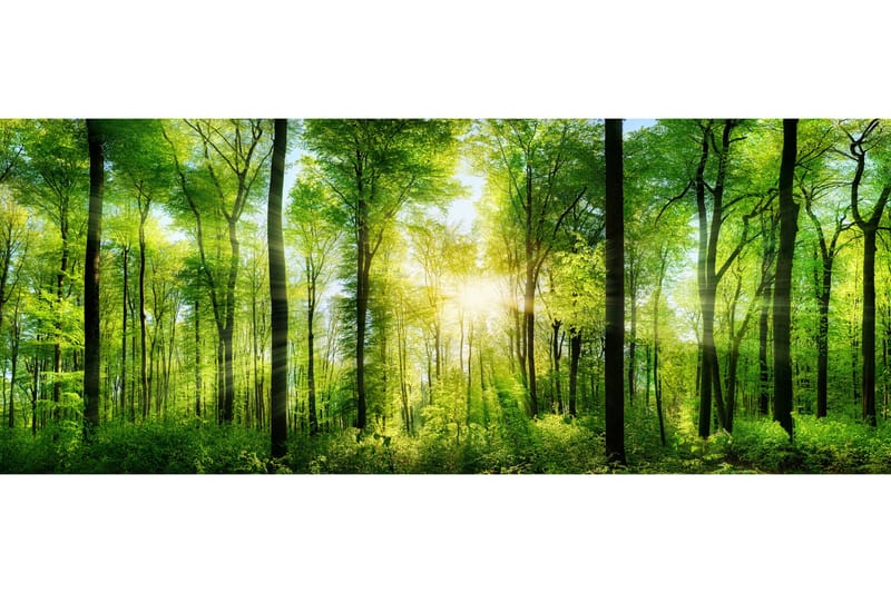 Tavla Forest, 50x125 cm