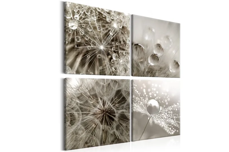 Tavla Grey Dandelion 40x40, Artgeist sp. z o. o.