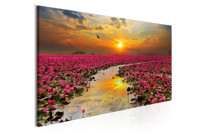 Tavla Lily Field (1 Part) Narrow 150x50 cm - Inredning - Tavlor & konst - Canvastavlor