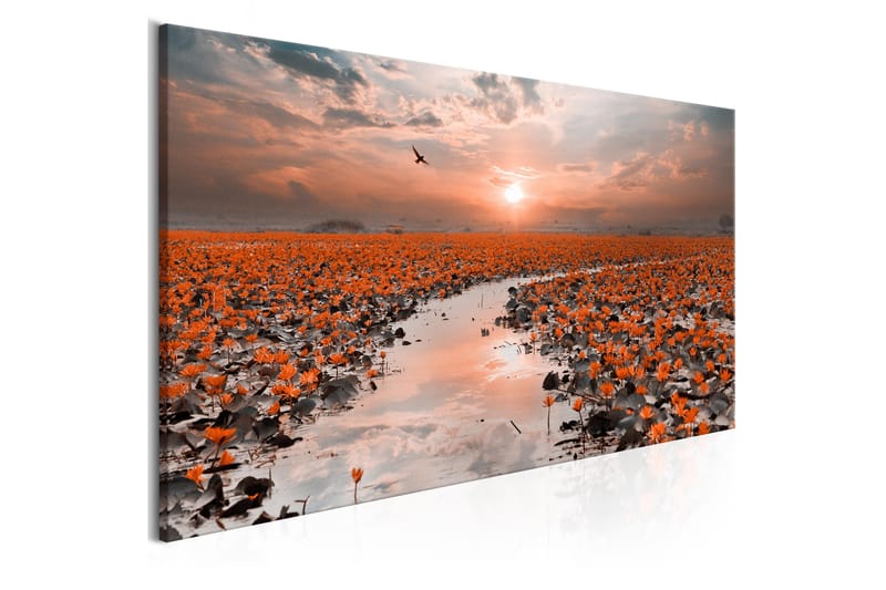 Tavla Lily Pathway (1 Part) Narrow 150x50 cm - Inredning - Tavlor & konst - Canvastavlor