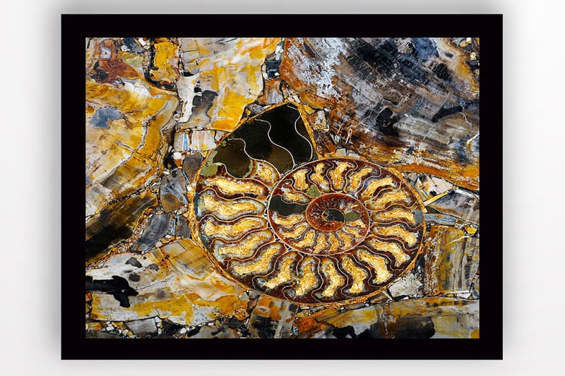 Tavla med Ram Flerfärgad - 41x56 cm - Inredning - Tavlor & konst