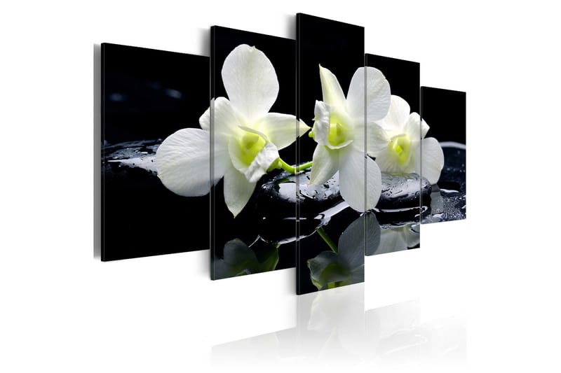 Tavla Melancholic Orchids 100x50, Artgeist sp. z o. o.