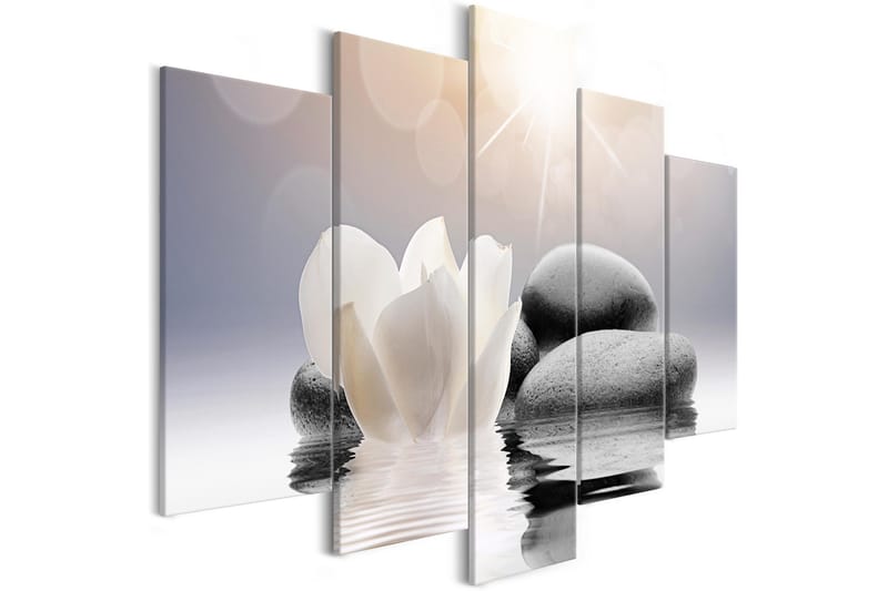 Tavla Natural Lightness 5 Parts Wide 100x50, Artgeist sp. z o. o.