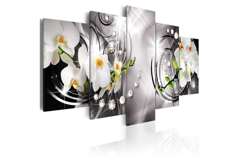 Tavla Orchid Pearls And Diamonds 100x50, Artgeist sp. z o. o.