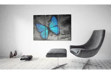 Tavla The Study Of Butterfly Triptych 60x40 - Artgeist sp. z o. o. - Inredning - Tavlor & konst - Canvastavlor