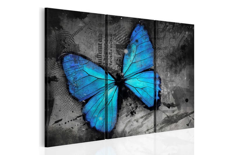 Tavla The Study Of Butterfly Triptych 60x40 - Artgeist sp. z o. o. - Inredning - Tavlor & konst - Canvastavlor