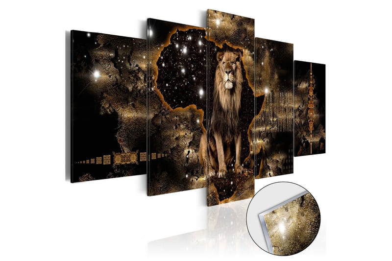 Tavla På Akryl Golden Lion 100x50, Artgeist sp. z o. o.