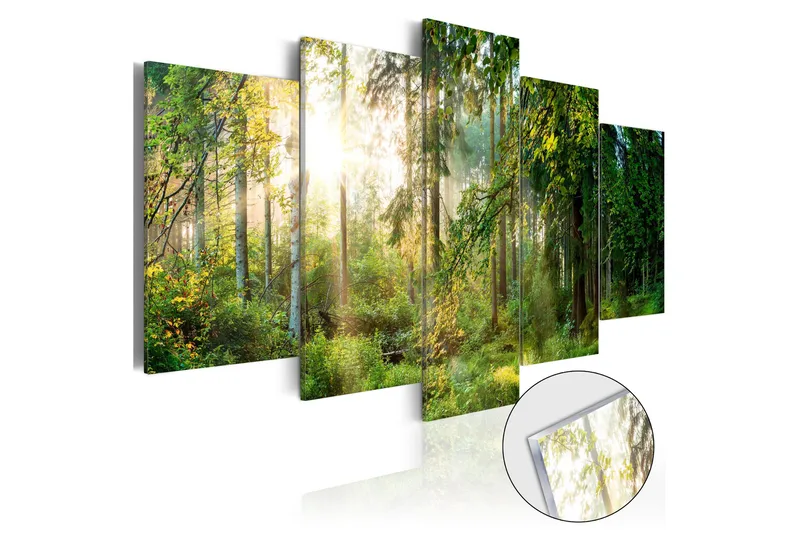 Tavla På Akryl Green Sanctuary 100x50, Artgeist sp. z o. o.