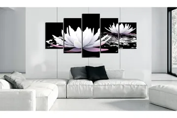 Tavla Passing Beauty 100x50 - Artgeist sp. z o. o. - Inredning - Tavlor & konst - Canvastavlor