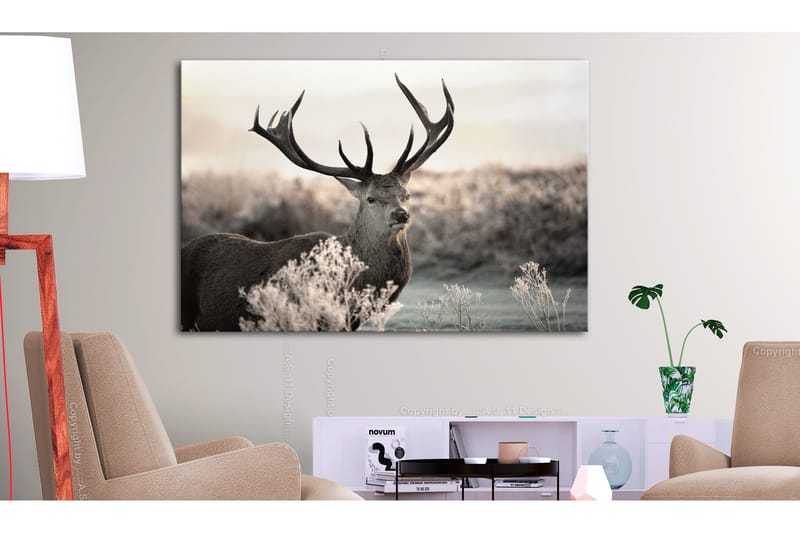 Tavla Powerful Horns 120x80, Artgeist sp. z o. o.