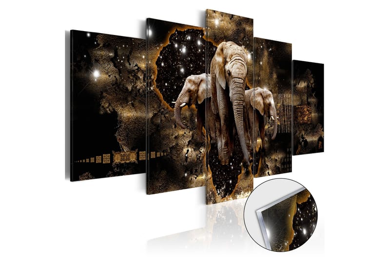 Tavla På Akryl Brown Elephants 200x100 - Artgeist sp. z o. o. - Inredning - Tavlor & konst