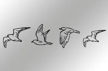 Birds Väggdekor - Svart - Inredning - Väggdekor - Skylt - Plåtskyltar