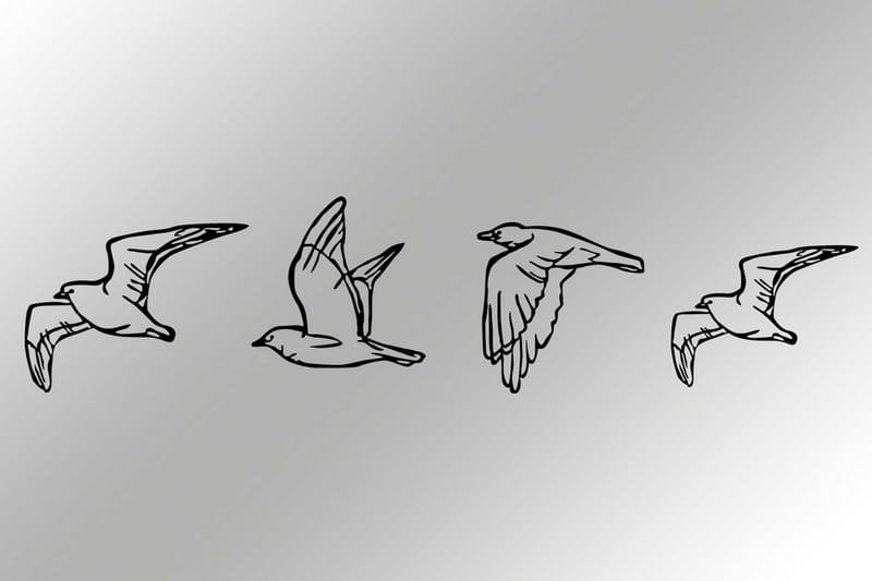 Birds Väggdekor - Svart - Inredning - Väggdekor - Skylt - Plåtskyltar