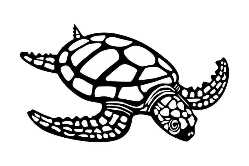 Caretta Caretta Väggdekor - Svart - Inredning - Väggdekor - Skylt - Plåtskyltar
