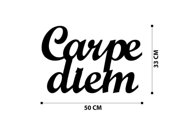 Carpediem 1 Väggdekor - Svart - Inredning - Väggdekor - Skylt - Plåtskyltar