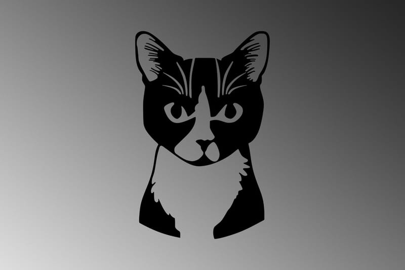 Cat 10 Väggdekor - Svart - Inredning - Väggdekor - Skylt - Plåtskyltar