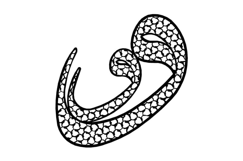 Dekorativ Väggaccessoar, Svart