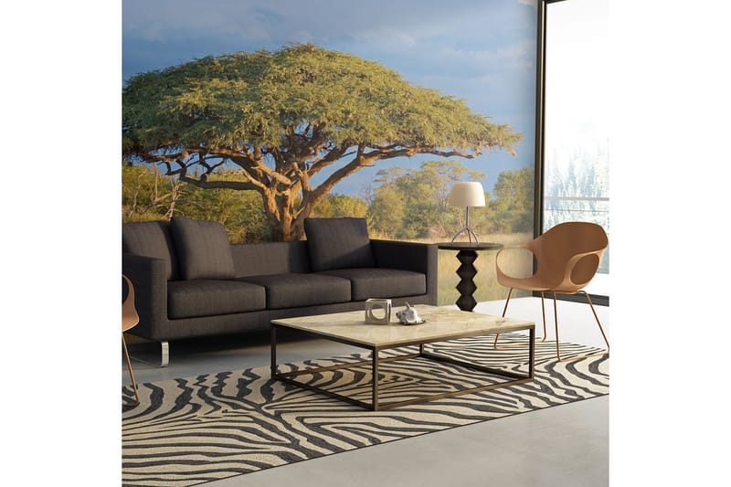 Fototapet Afrikansk Akacia Träd Hwange 200x154 - Artgeist sp. z o. o. - Inredning - Väggdekor - Tapet & tapettillbehör - Fototapet