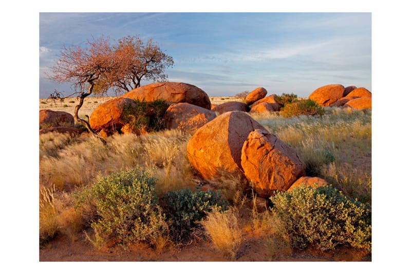 Fototapet Afrikanska Landskapet Namibia 200x154 - Artgeist sp. z o. o. - Inredning - Väggdekor - Tapet & tapettillbehör - Fototapet
