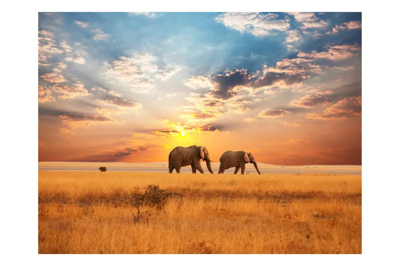 Fototapet Afrikanska Savannen Elefanter 200x154, Artgeist sp. z o. o.
