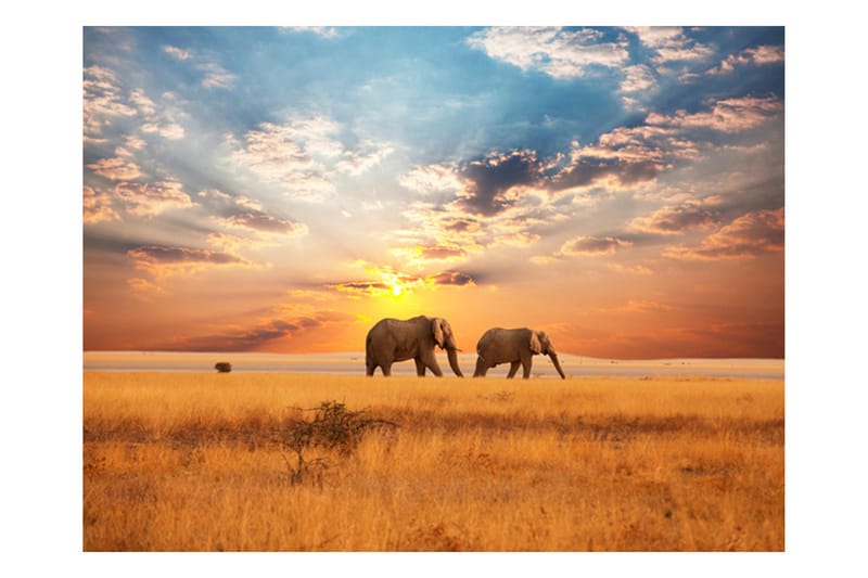 Fototapet Afrikanska Savannen Elefanter 400x309 - Artgeist sp. z o. o. - Inredning - Väggdekor - Tapet & tapettillbehör - Fototapet