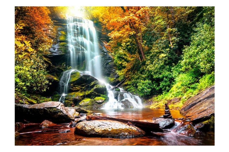 Fototapet Amazing Wonder Of Nature 400x280 - Artgeist sp. z o. o. - Inredning - Väggdekor - Tapet & tapettillbehör - Fototapet
