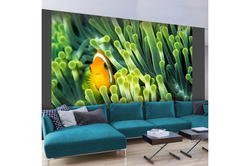 Fototapet Anemonefish 200x154 - Artgeist sp. z o. o. - Inredning - Väggdekor - Tapet & tapettillbehör - Fototapet