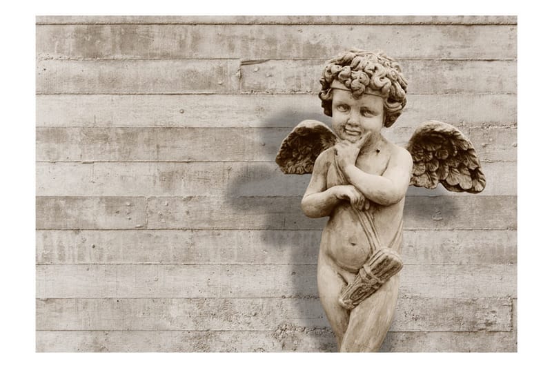 Fototapet Angelic Face 300x210 - Artgeist sp. z o. o. - Inredning - Väggdekor - Tapet & tapettillbehör - Fototapet