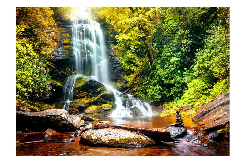 Fototapet Another Wonder Of Nature 350x245, Artgeist sp. z o. o.