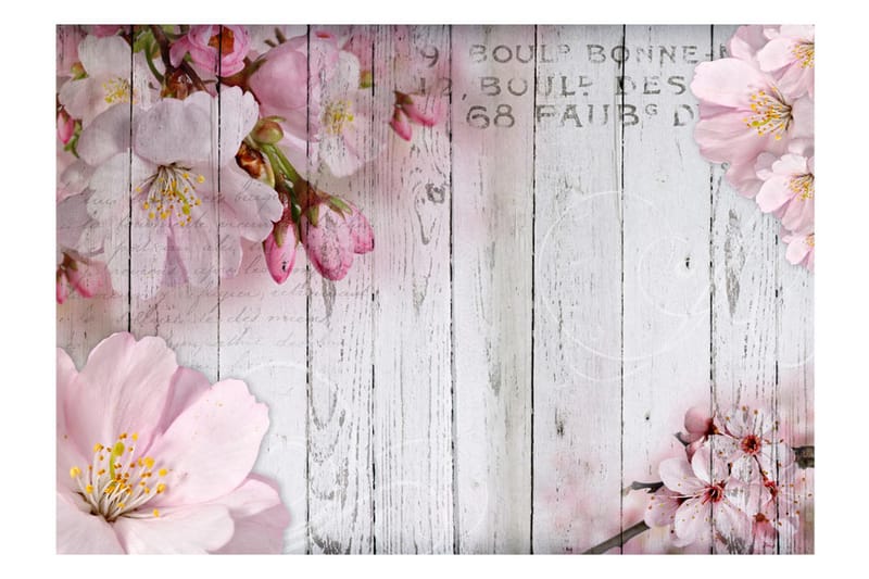 Fototapet Apple Blossoms 250x175 - Artgeist sp. z o. o. - Inredning - Väggdekor - Tapet & tapettillbehör - Fototapet