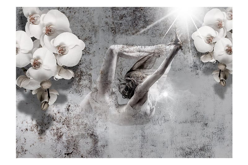 Fototapet Arrangement With Orchid 350x245 - Artgeist sp. z o. o. - Inredning - Väggdekor - Tapet & tapettillbehör - Fototapet