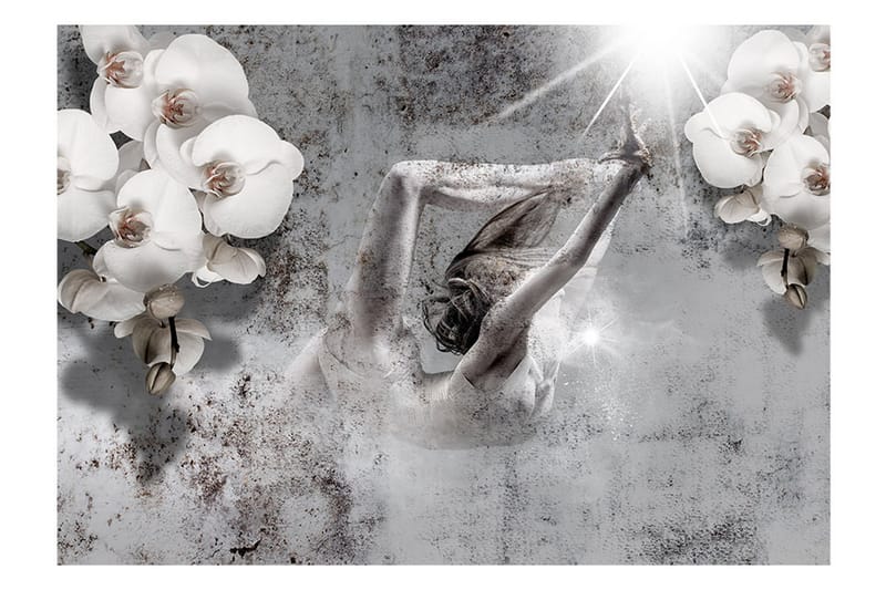 Fototapet Arrangement With Orchid 400x280 - Artgeist sp. z o. o. - Inredning - Väggdekor - Tapet & tapettillbehör - Fototapet