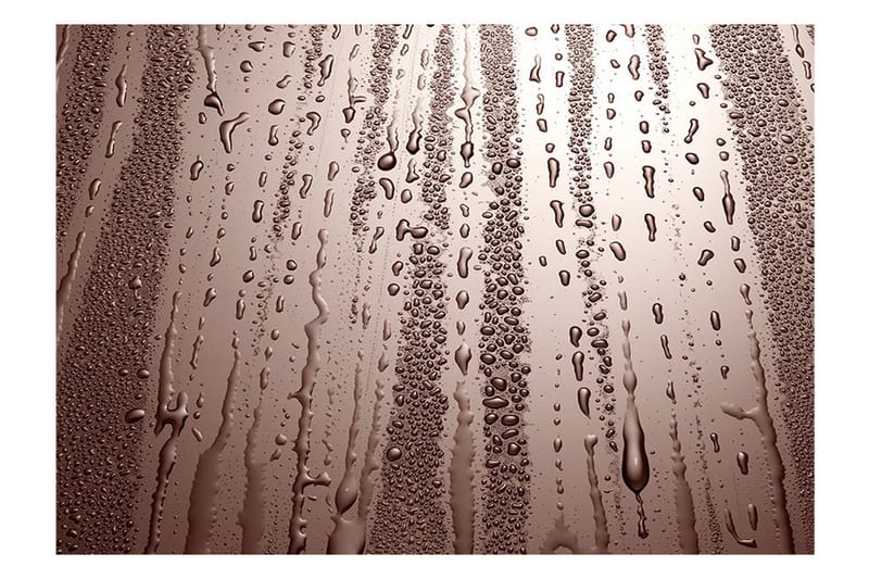 Fototapet Autumn Drizzle 350x245 - Artgeist sp. z o. o. - Inredning - Väggdekor - Tapet & tapettillbehör - Fototapet