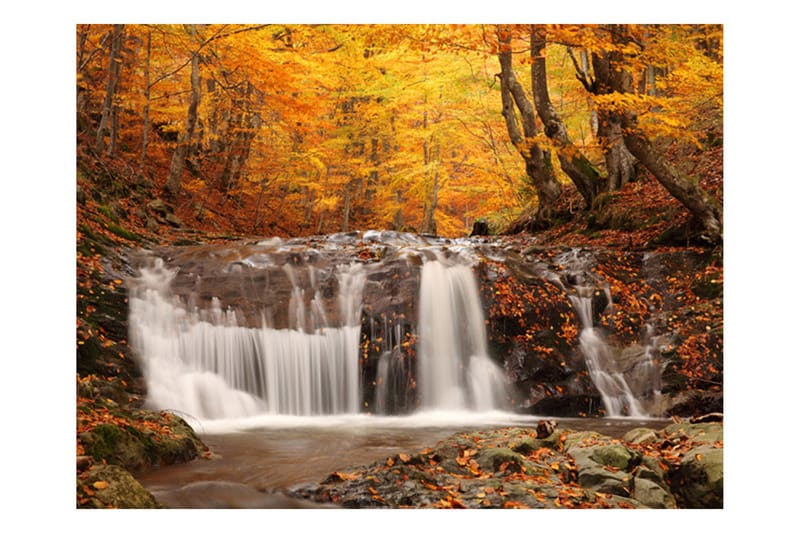 Fototapet Autumn Landscape Waterfall In Forest 200x154 - Artgeist sp. z o. o. - Fototapet