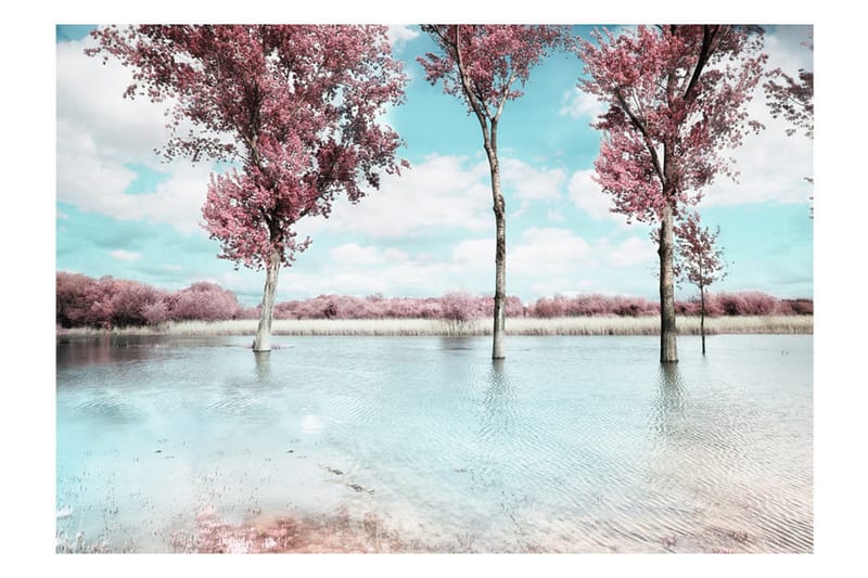 Fototapet Autumn Scenery 400x280 - Artgeist sp. z o. o. - Inredning - Väggdekor - Tapet & tapettillbehör - Fototapet