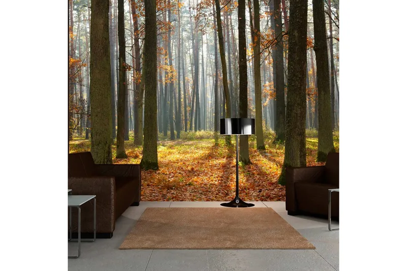 Fototapet Autumn Trees 200x154 - Artgeist sp. z o. o. - Inredning - Väggdekor - Tapet & tapettillbehör - Fototapet