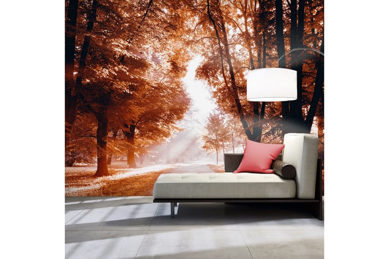 Fototapet Autumn Park 200x140, Artgeist sp. z o. o.