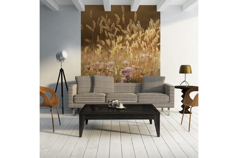 Fototapet Awakening Ceral Field 300x231 - Artgeist sp. z o. o. - Inredning - Väggdekor - Tapet & tapettillbehör - Fototapet