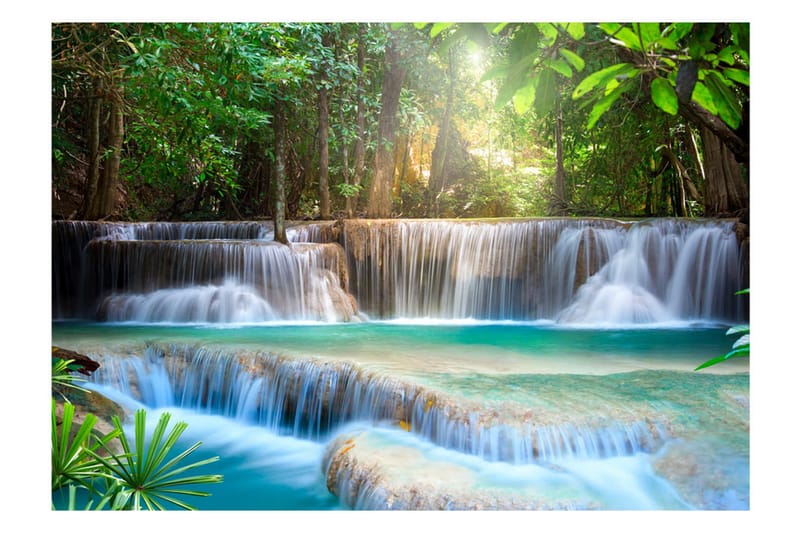 Fototapet Awakening Of Nature 350x245 - Artgeist sp. z o. o. - Inredning - Väggdekor - Tapet & tapettillbehör - Fototapet